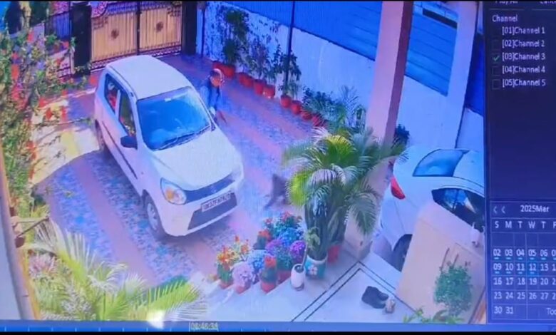 देखें वीडियो: चिकित्सा अधीक्षक पर झपट पड़े बंदर