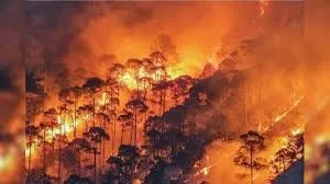 उत्तराखंड के जंगलों में धधक रही आग: 350 से ज्यादा घटनाएं, सैकड़ों हेक्टेयर वन संपदा खाक