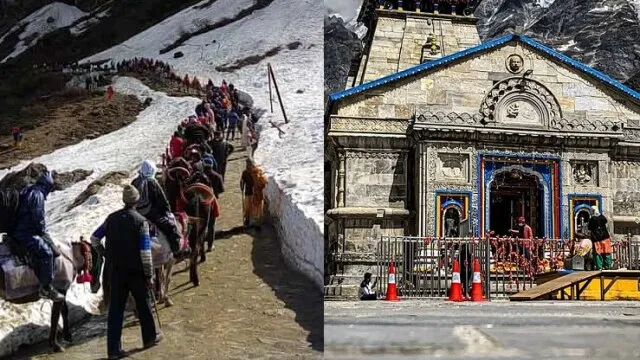 केदारनाथ यात्रा: ओवररेटिंग करने वाले घोड़ा हॉकर्स पर पुलिस का डंडा, MP के यात्रियों के लौटाए ₹39,500
